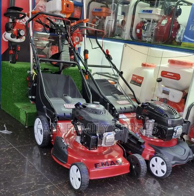 Emas Self-Propelled Lawnmower 5.5hp - thumbnail 3