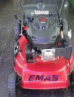 Emas Self-Propelled Lawnmower 5.5hp