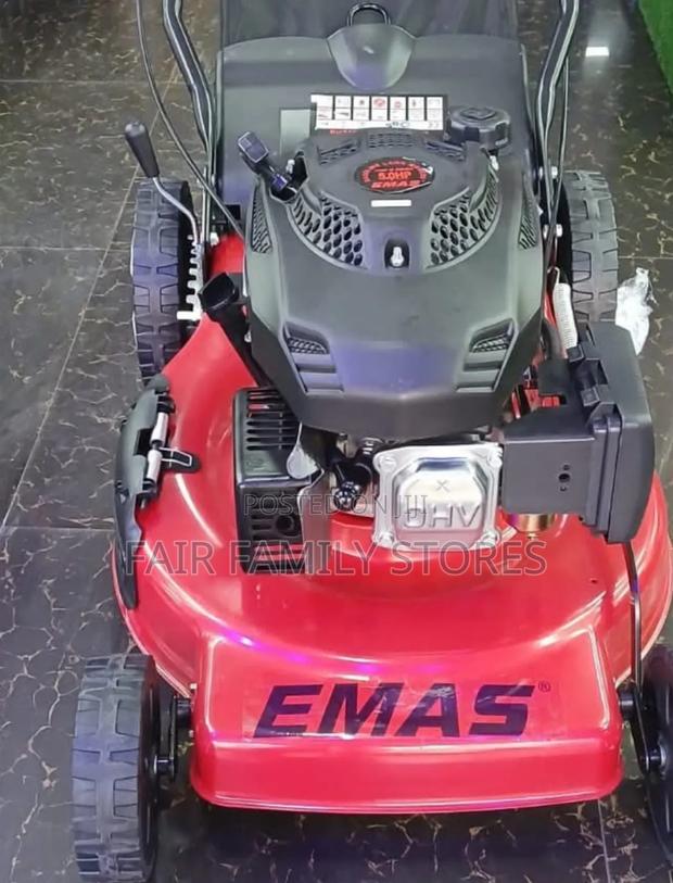 Emas Self-Propelled Lawnmower 5.5hp - main view