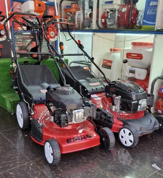 Emas Self-Propelled Lawnmower 5.5hp - thumbnail 4