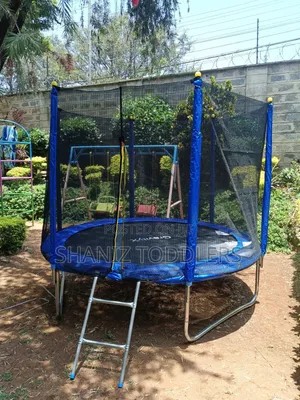 Power Jump 8ft Trampoline With Ladder