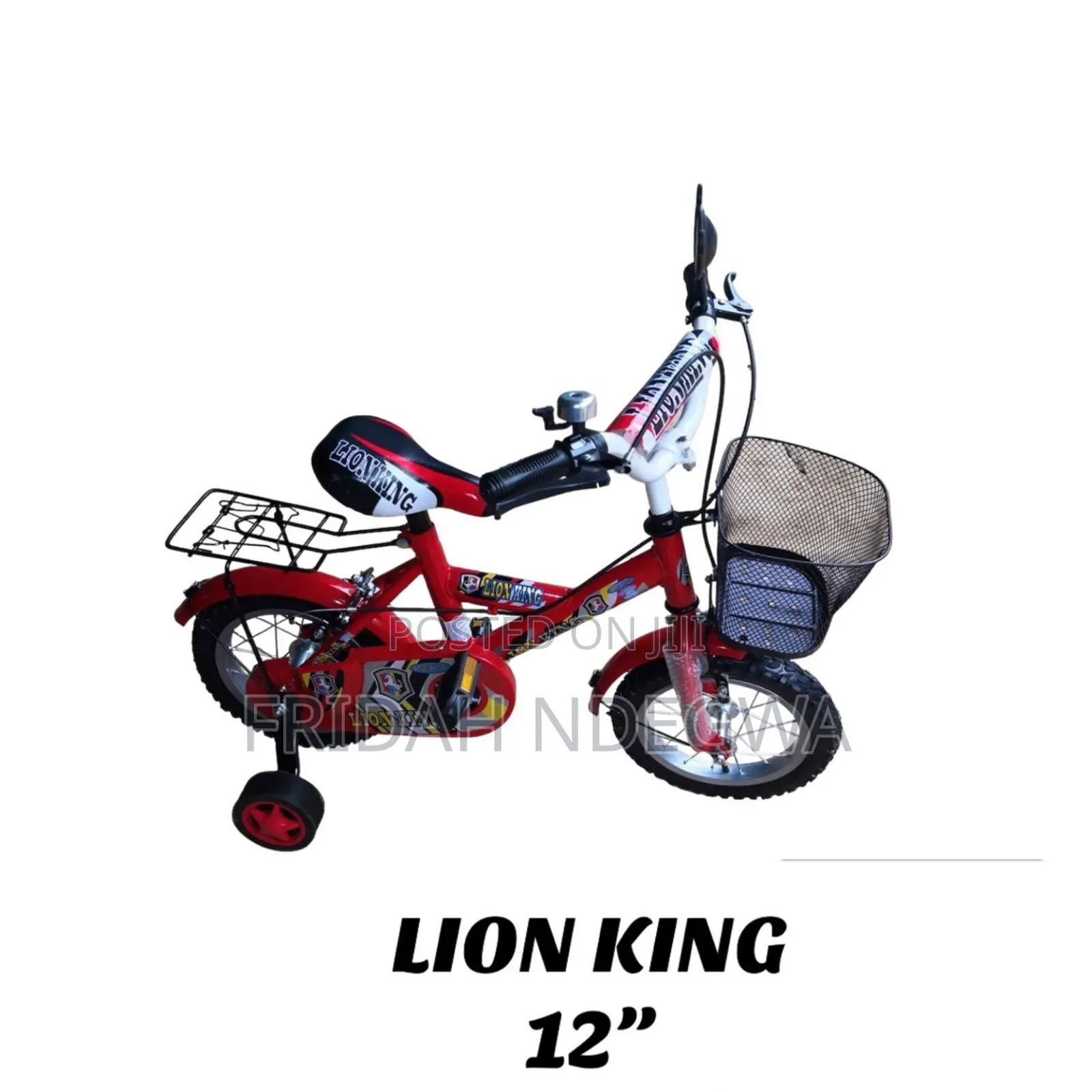 Lion King 12