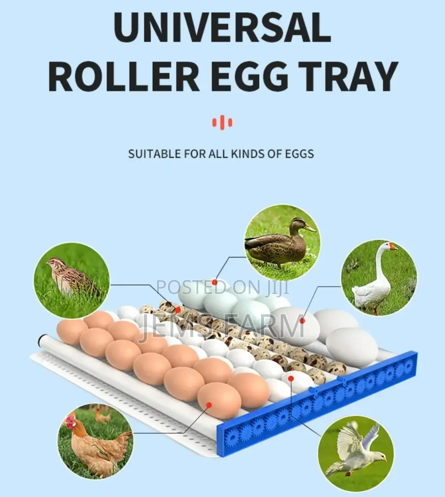 Fully Automatic 320 Eggs Ac/Dc Incubator