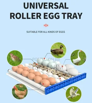 Fully Automatic 320 Eggs Ac/Dc Incubator