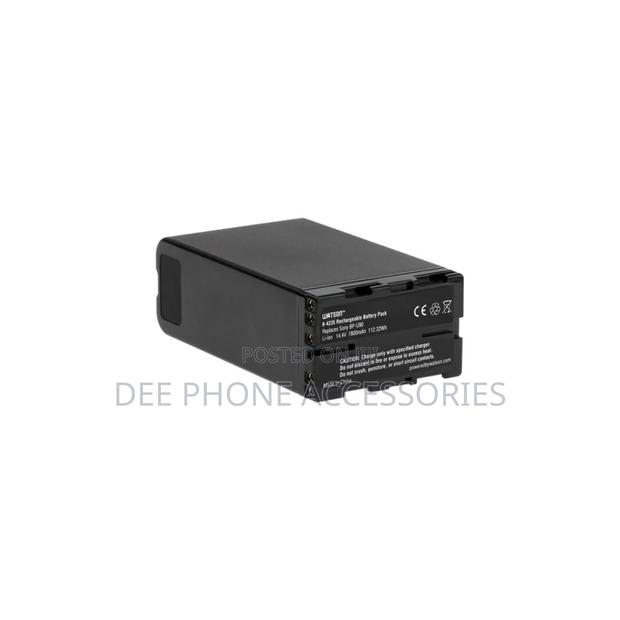 Caisi Bp U90 Battery for Sony Camera - thumbnail 2