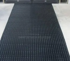 Fade Resistant Rubber Coin Carpet