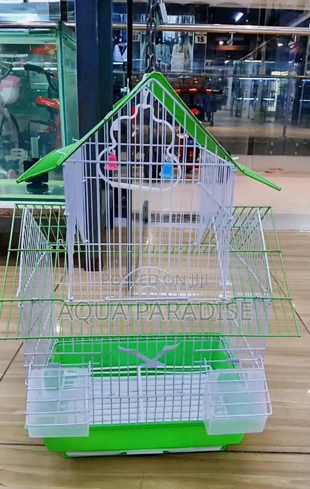 Bird Cages - main view