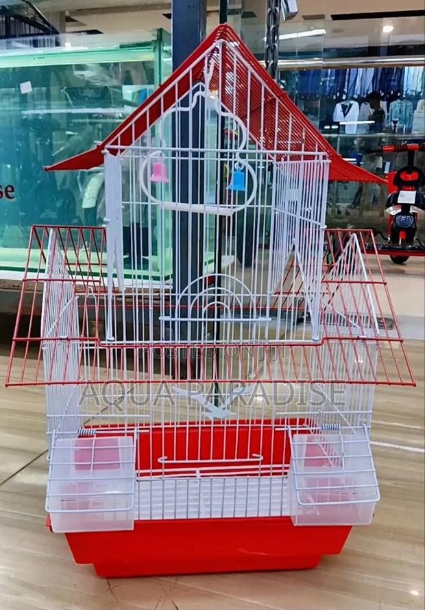 Bird Cages - thumbnail 3