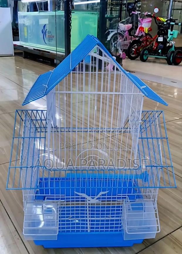 Bird Cages - thumbnail 4