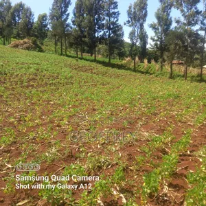 Selling 6 Acres in Meru Kiirua Marinya KSH Per Acre