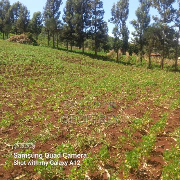 Selling 6 Acres in Meru Kiirua Marinya KSH Per Acre