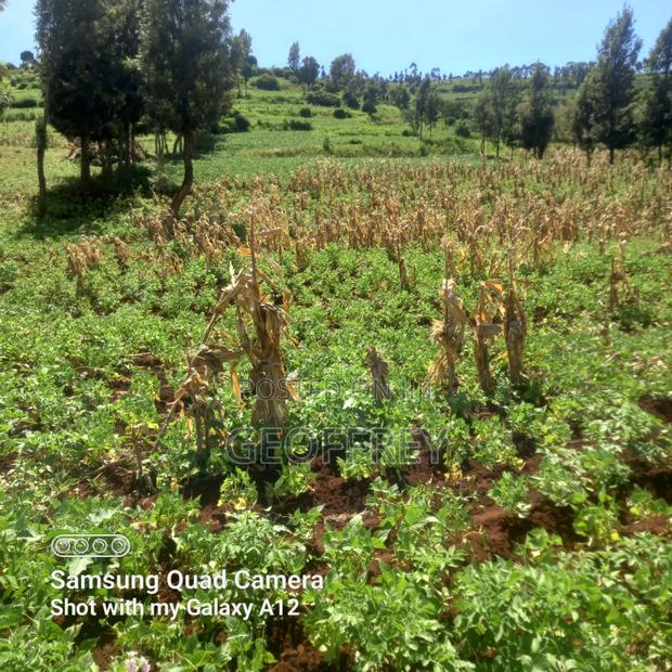 Selling 6 Acres in Meru Kiirua Marinya KSH Per Acre - thumbnail 2