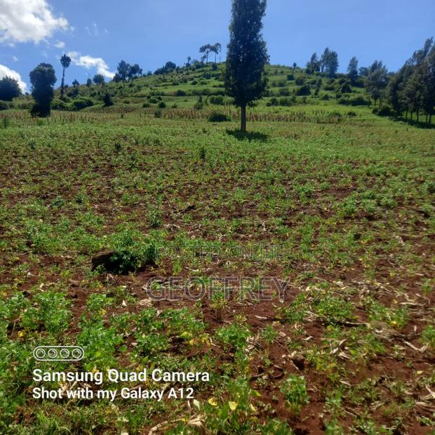 Selling 6 Acres in Meru Kiirua Marinya KSH Per Acre - thumbnail 3