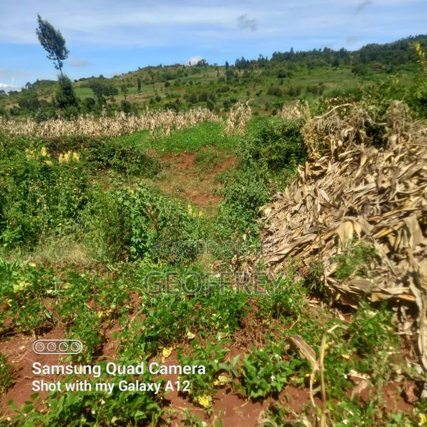 Selling 6 Acres in Meru Kiirua Marinya KSH Per Acre - thumbnail 4