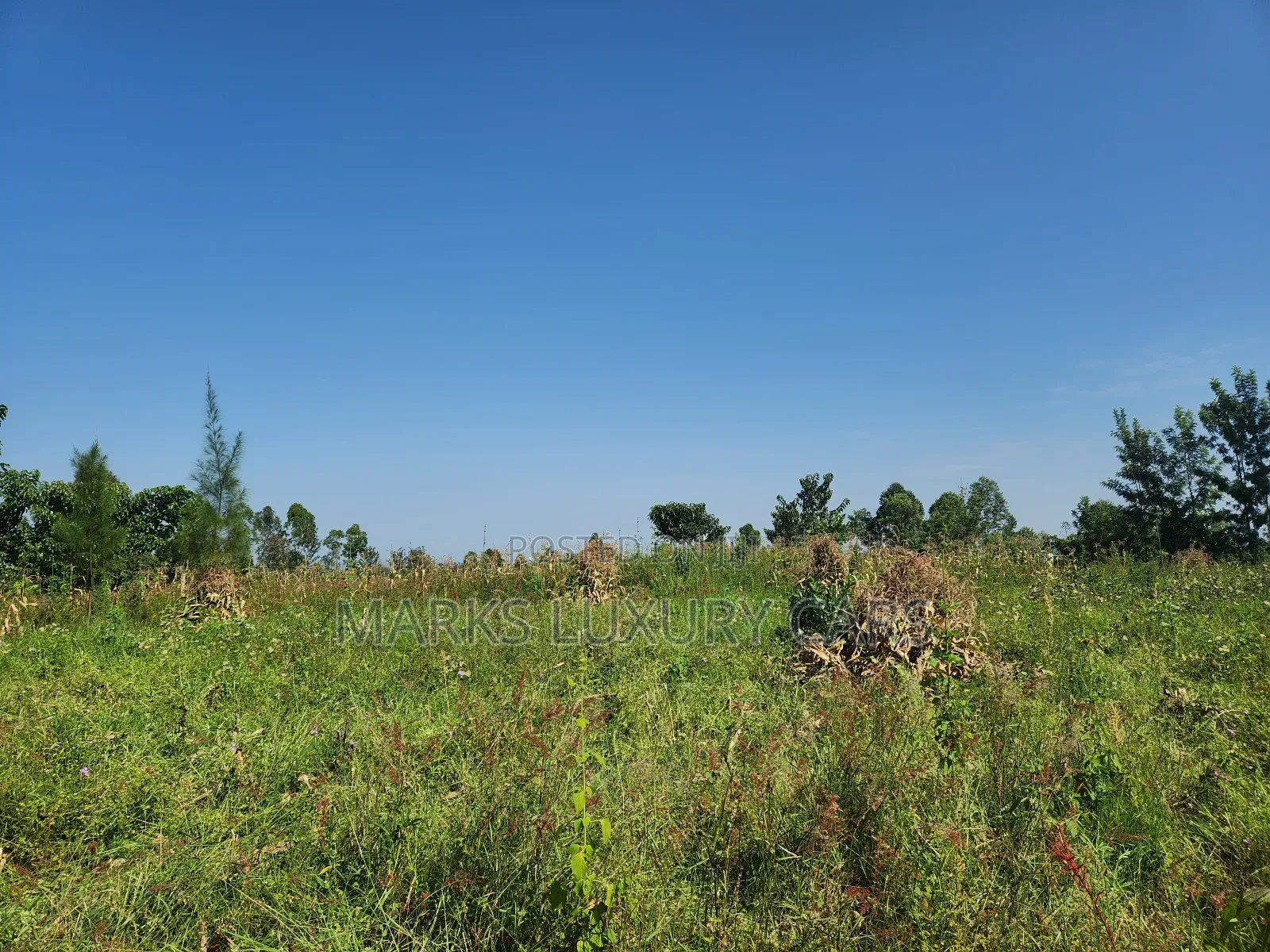 Prime Farming Land for Sale