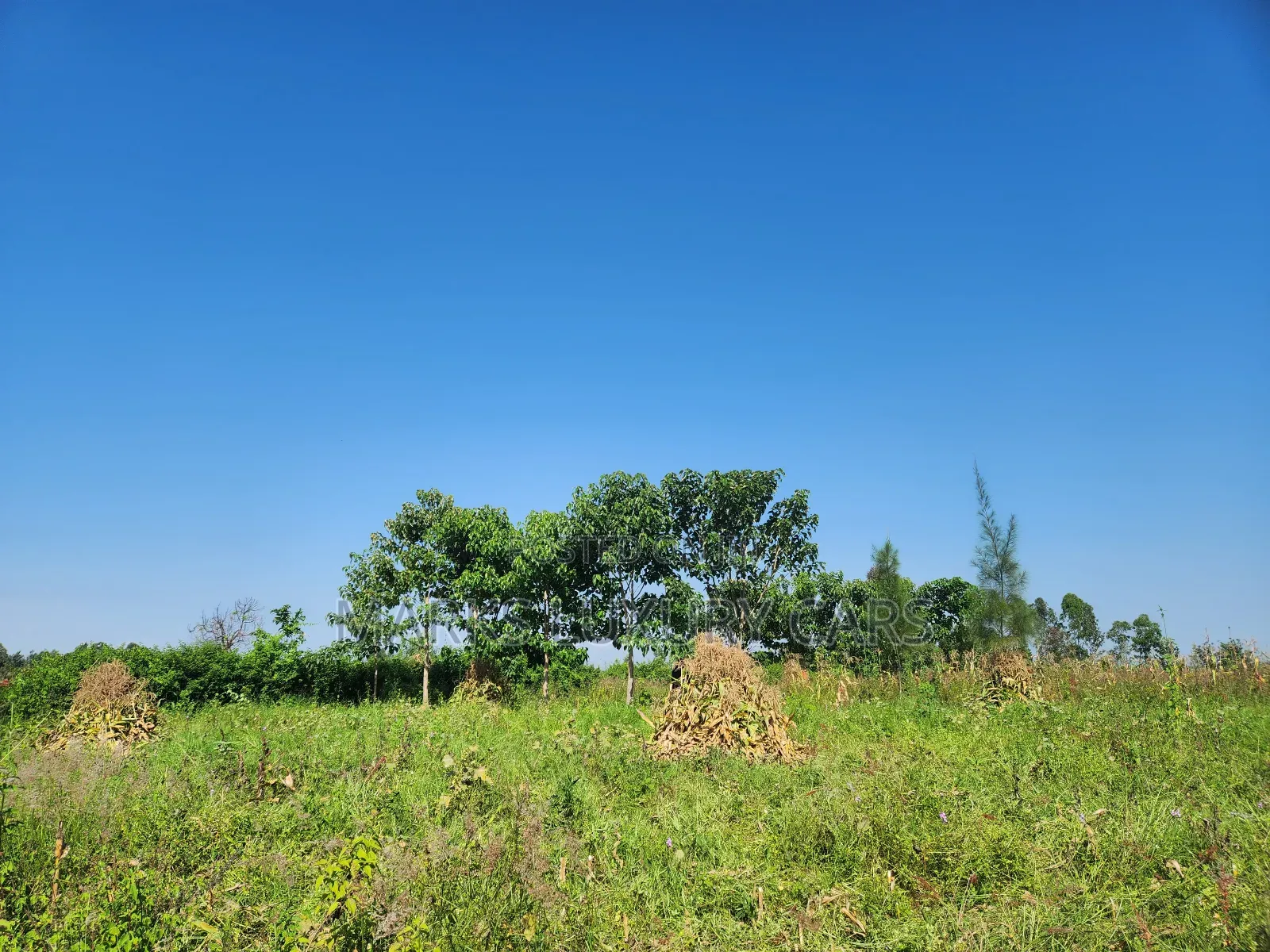 Prime Farming Land for Sale