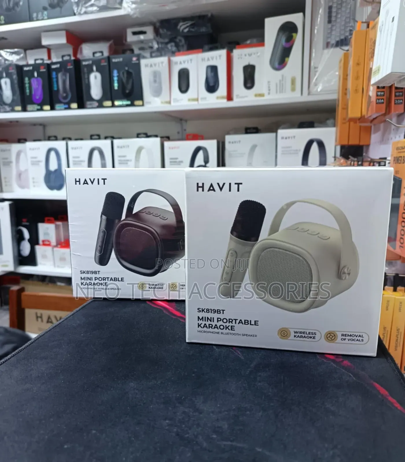 Havit Sk819bt Mini Portable Karaoke Speaker