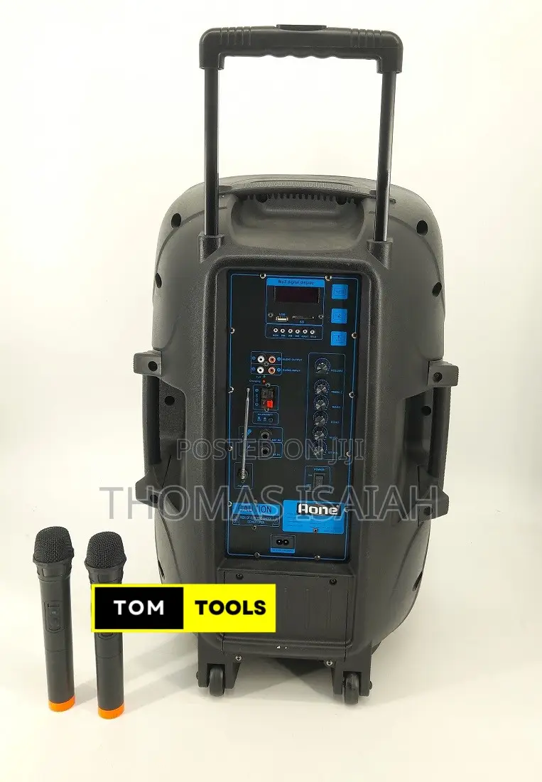 Aone 15′′ Rechargeable Portable Pa Speaker System With 2 Microphones