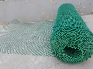 Green Plastic Mesh