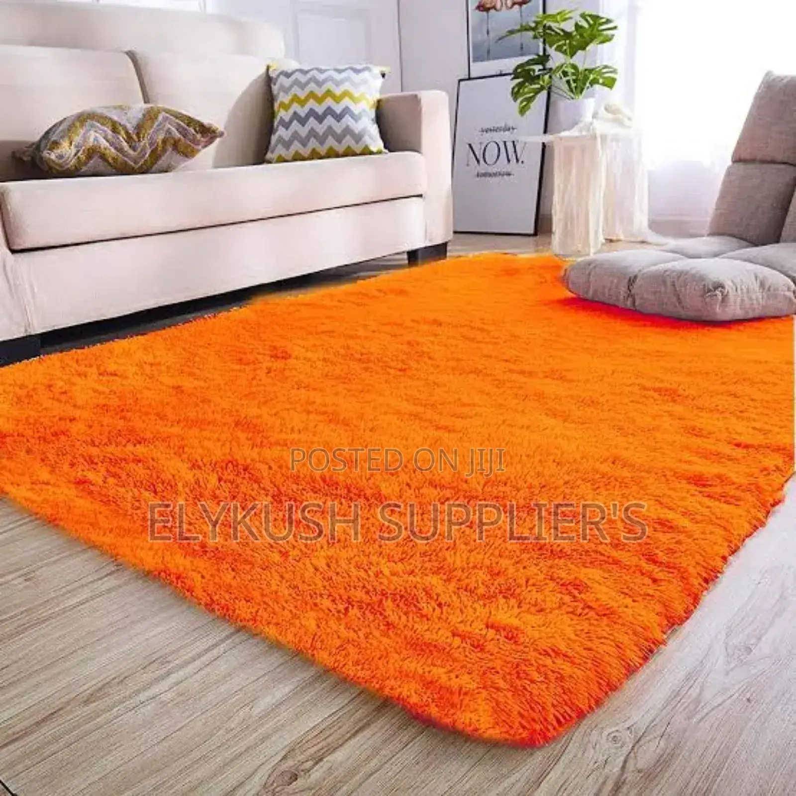 Fluffy Carpet