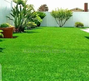 Long Lasting Lawn Grass Carpet