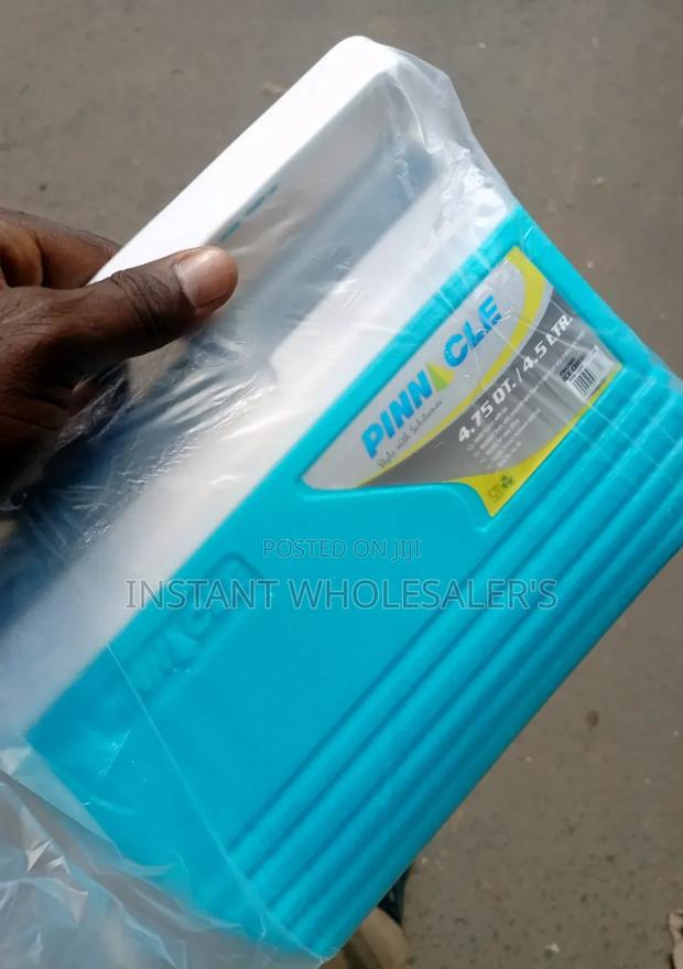 Cooler Boxes 4.5 Litres