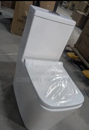 Curved Toilet Available