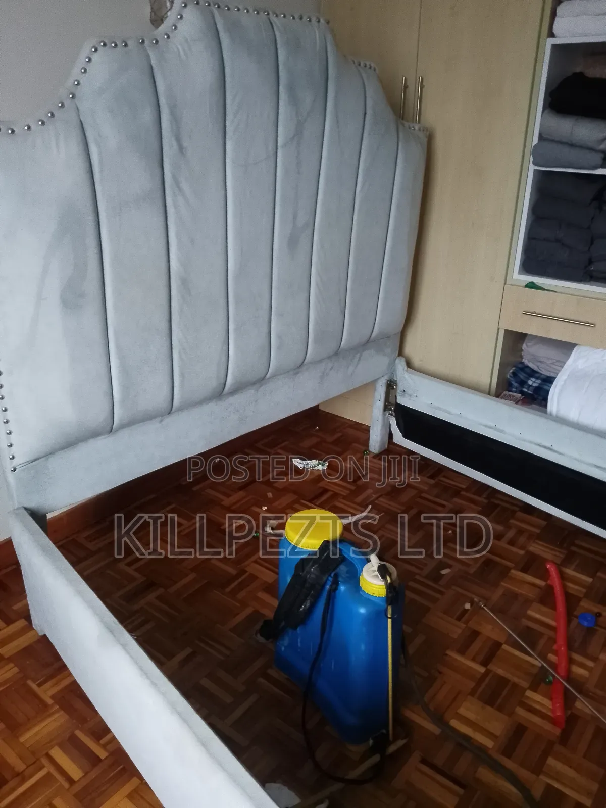 Bedbugs Removal and Guarantee Services