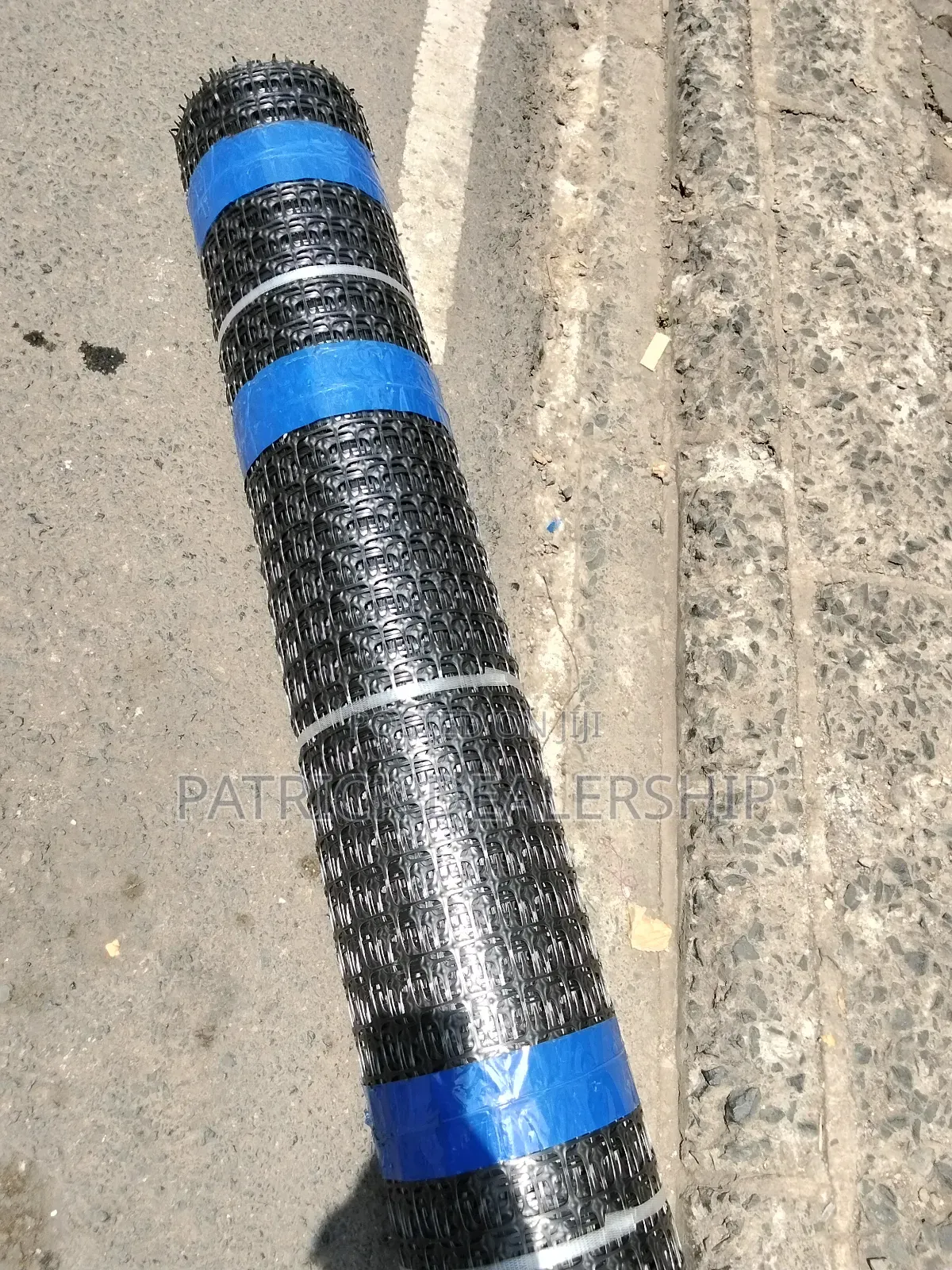Geogrid Mesh