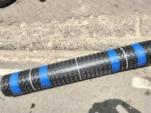 Plastic Geogrid