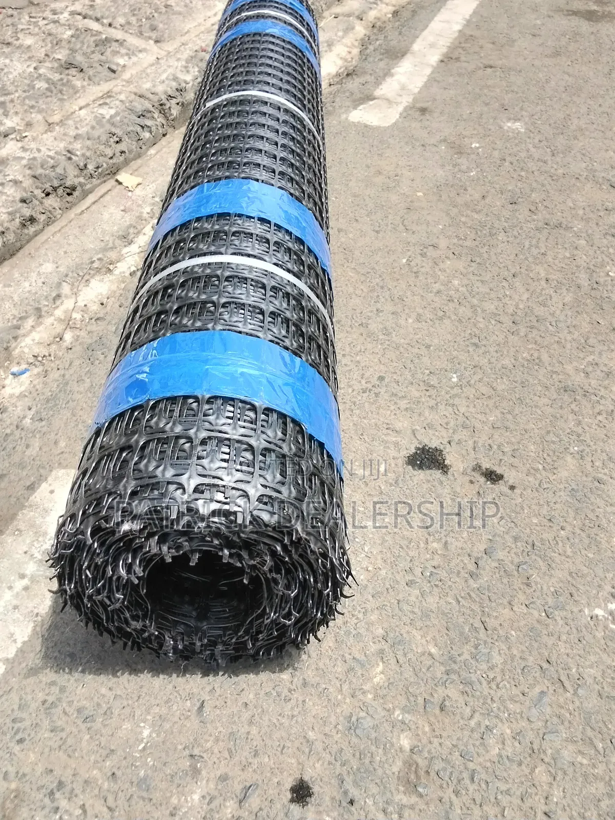 Plastic Geogrid