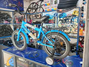 Size 16 Rocky BMX