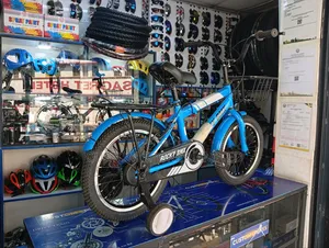 Size 16 Rocky BMX