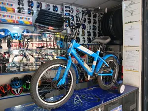 Size 16 Rocky BMX