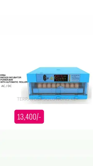 64 Eggs Ac/Dc Egg Incubator