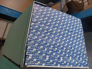 High-quality 12mm Hada Gypsum Board For Wet Areas