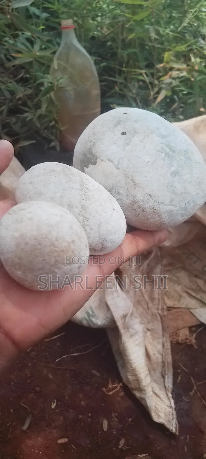 River Stones and Pebbles