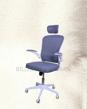 Pro-Grade White Ergonomic Office Chair | Nylon Castors