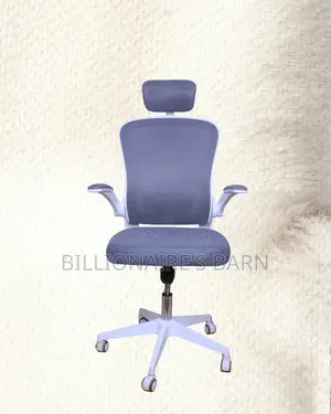 Pro-Grade White Ergonomic Office Chair | Nylon Castors