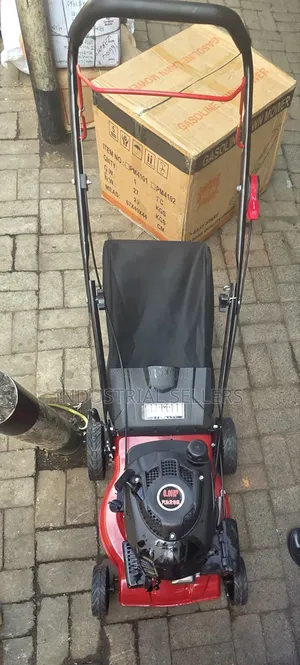 6hp 18" 173cc Gasoline Lawn Mower