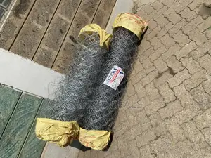 Wire Netting Fence