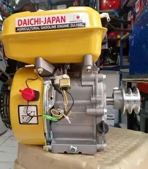 Quality Gasoline Engine 7.5hp/Daichi Petrol Engine