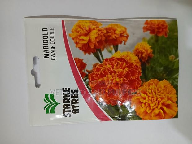 Marigold Dwarf Double - main view