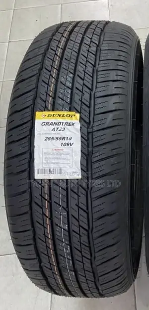 265/55r19 Dunlop