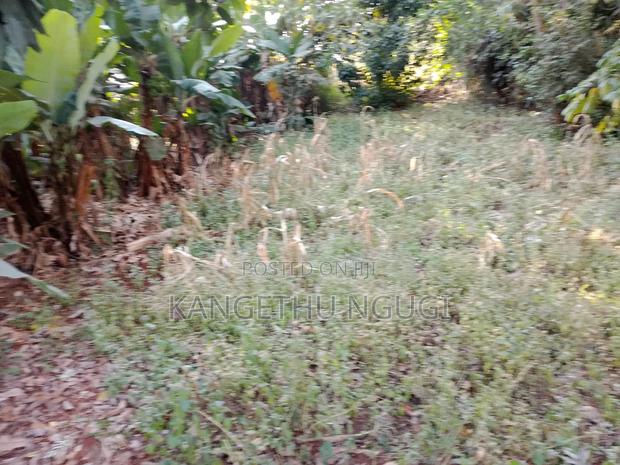 Quarter Acre Commercial Plot Kiambu Town - thumbnail 4