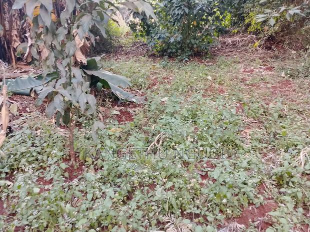 Quarter Acre Commercial Plot Kiambu Town - thumbnail 8