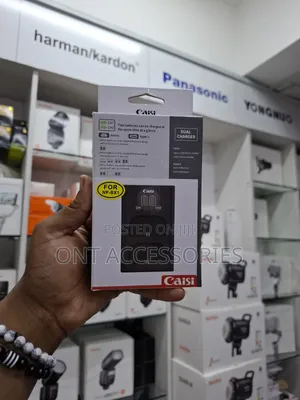 Caisi Np-Bx1 Dual Charger
