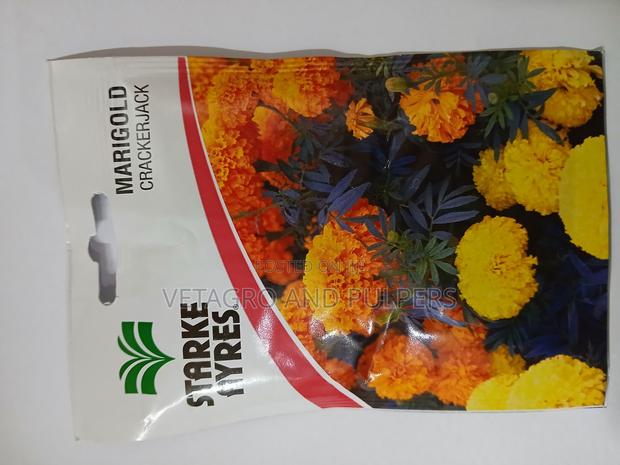 Marigold Crackerjack - main view