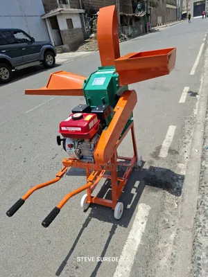 Animal Feed Chopper Machine or Chaff Cutter