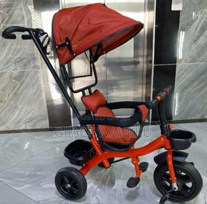 Tricycle With Canopy - thumbnail 2